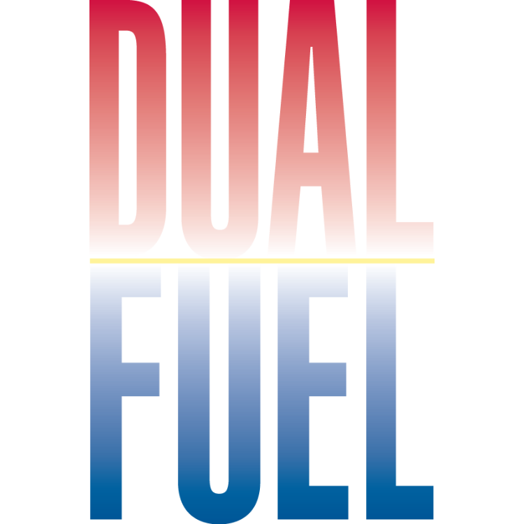 Dual Fuel Heat Pump