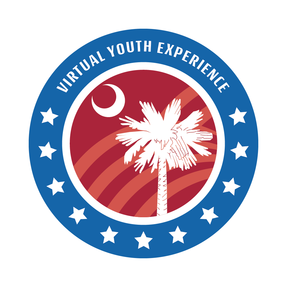 Virtual Youth Experience