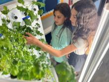 Sixth-graders Isabella Jimenez (left) and Samantha Ennis check on the collards growing from Heritage Academy’s hydroponic garden. 